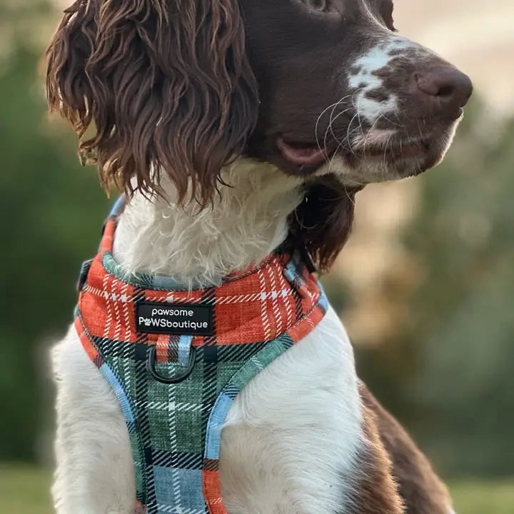 Pawsome Harnesses